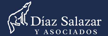 Logo de Díaz Salazar Asociados, S.C.